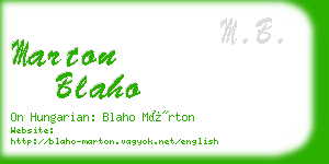 marton blaho business card